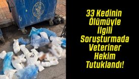 33 Kedinin Ölümüyle İlgili Soruşturmada Veteriner Hekim Tutuklandı!