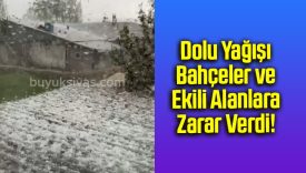 Dolu Yağışı Bahçeler ve Ekili Alanlara Zarar Verdi