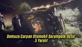 Domuza Çarpan Otomobil Şarampole Uçtu! 5 Yaralı!
