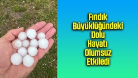 Fındık Büyüklüğündeki Dolu Hayatı Olumsuz Etkiledi