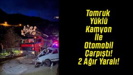 Tomruk Yüklü Kamyon İle Otomobil Çarpıştı! 2 Ağır Yaralı!
